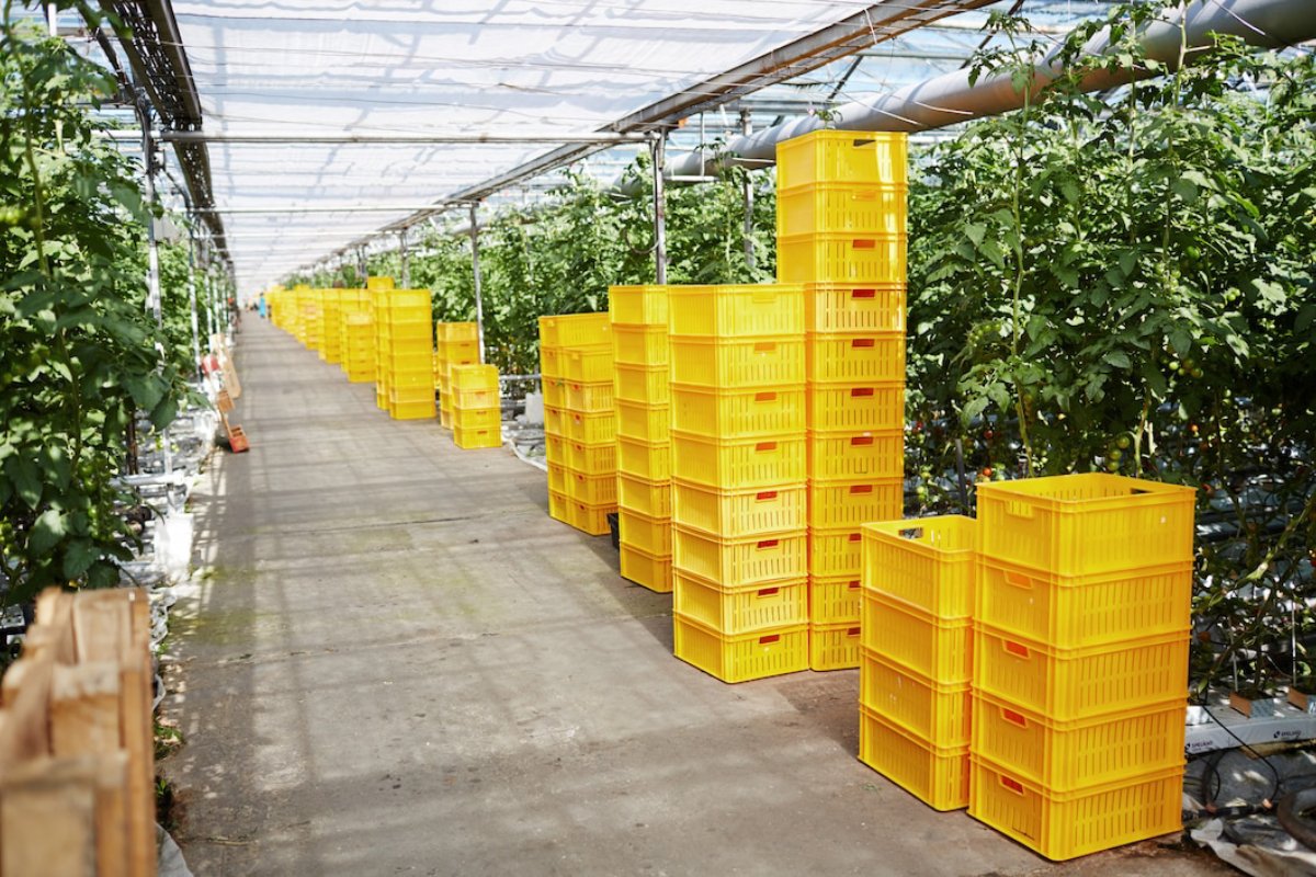 Plastic Crates & Pallets Supplies